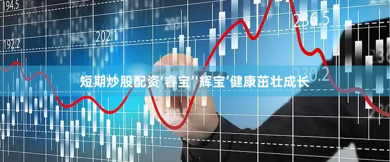 短期炒股配资‘睿宝’‘辉宝’健康茁壮成长