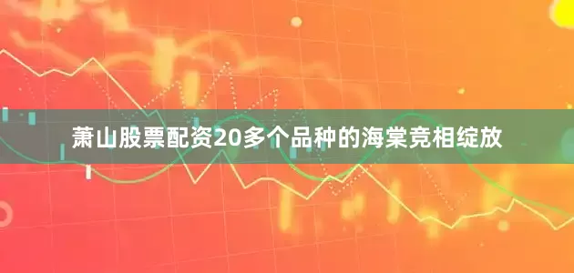 萧山股票配资20多个品种的海棠竞相绽放