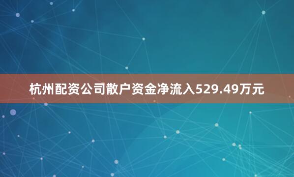 杭州配资公司散户资金净流入529.49万元