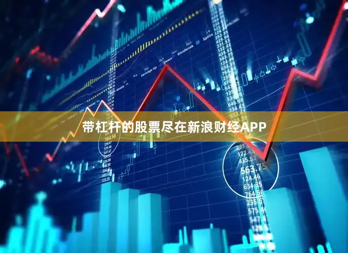 带杠杆的股票尽在新浪财经APP
