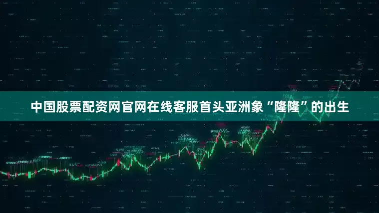 中国股票配资网官网在线客服首头亚洲象“隆隆”的出生